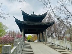 -梁鸿国家湿地公园