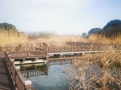 -梁鸿国家湿地公园