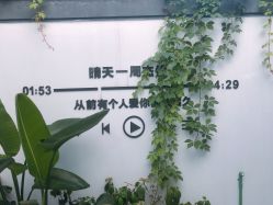 点击看大图 -AGE LOCK 锁龄美肌