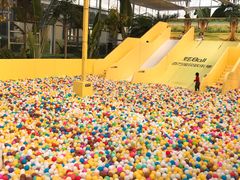 -南宫五洲植物乐园