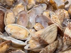-浩运·海鲜青岛菜·海胆水饺(石老人店)