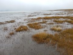 -青海湖仙女湾景区