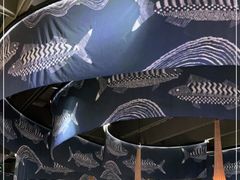 -云海肴云南菜·蒸汽石锅鱼(青岛万象城店)