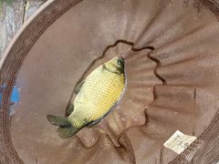 -酷鱼垂钓CLUB(朝阳区博大路店 )