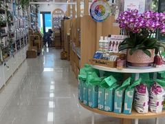 -中国农业大学动物医院
