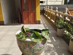 -龙音寺