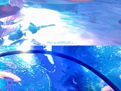 -沈阳海洋探索中心