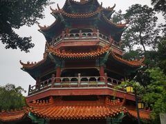 -神光山国家森林公园