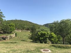 -冶父山国家森林公园
