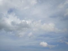 -野狸岛