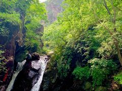 -云岫谷游猎自然风景区