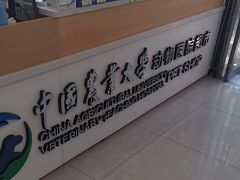 -中国农业大学动物医院