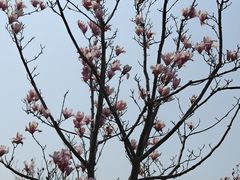 -广富林郊野公园