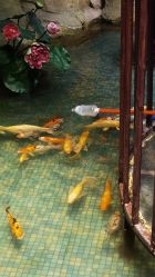 -酷嗒动物文化乐园(cutezoo西溪乐天城店)