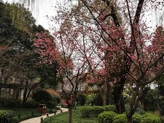 -陕西民俗大观园
