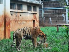 -昆明动物园