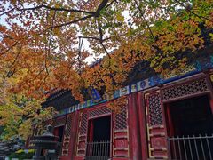 -香山公园