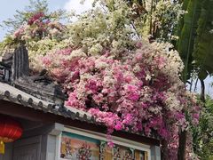 -深圳国际园林花卉博览园