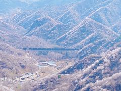 -大岭沟猕猴桃谷风景区