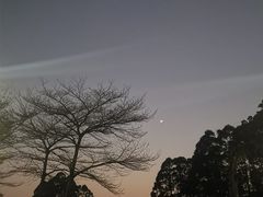 -滨海公园