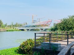-南汇新城城市公园