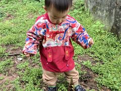 -铁山坪森林公园