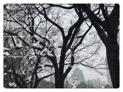 -上海博物馆