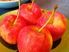 -止观小馆·辽河口渔家菜(王府井店)