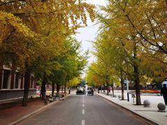 -东北大学(南湖校区)