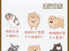 -瑞鹏宠物医院·骨外科·心肾科·肿瘤科(九亭店)
