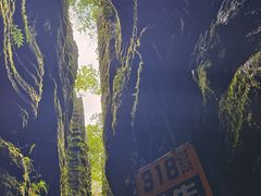 -梭布垭石林景区