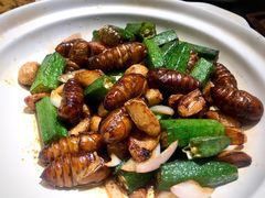 秋葵烧蚕蛹-来哥菜馆·大厨烹小鲜