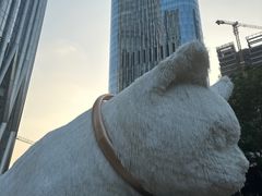 -深圳湾万象城