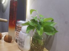 -素匠泰茶(三里屯SOHO工体奶茶店)
