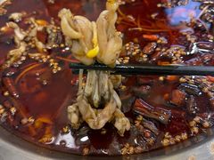 -老表牌·蛙蛙鸡冷锅鱼(成都东站店)