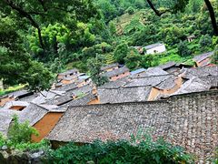 -杨家堂村