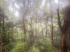 -灵顺寺