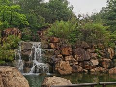 -广东花都湖国家湿地公园