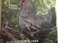 -黑鸡小馆(金源店)