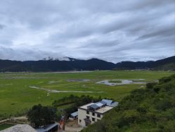 -纳帕海依拉草原