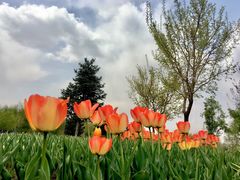 -长春公园(普阳街道)