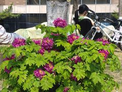 -浙江大学(玉泉校区)