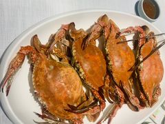 -开海·红岛海鲜虾水饺(石老人店)