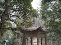 -午潮山国家森林公园