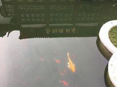 -豫园湖心亭茶楼