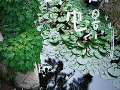 -北戴河东海水浴场