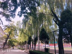 -山西医科大学(迎泽校区)