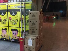 -周黑鸭(武汉火车站B1店)