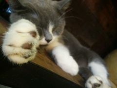 -MIKAKU(万达广场上海宝山店)