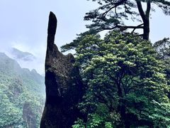 -三清山风景名胜区